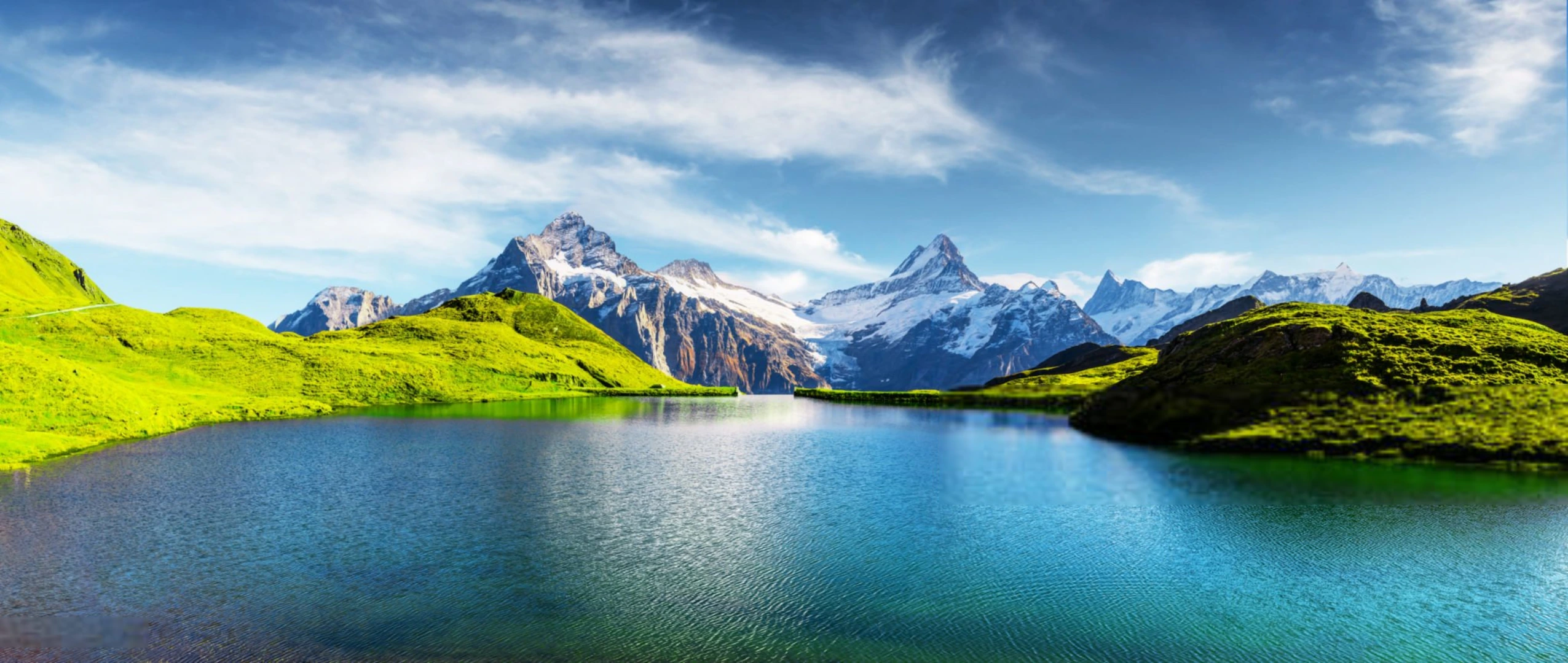 Swiss Forest
