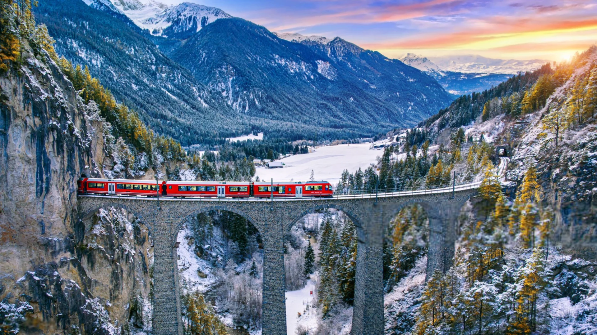 Swiss Forest